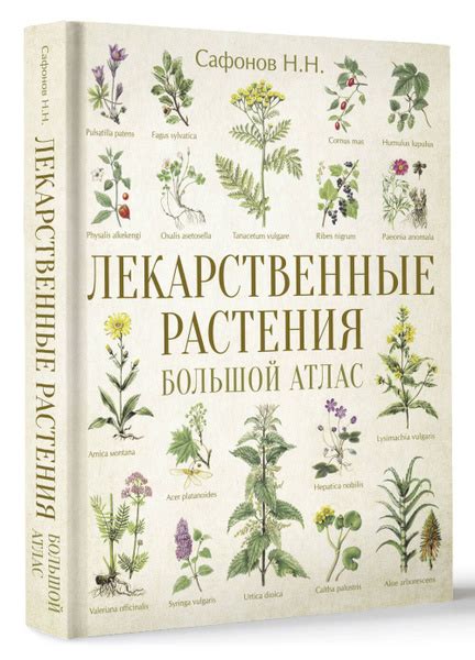 Лекарственные растения. Большой атлас | Сафонов Николай Николаевич ...