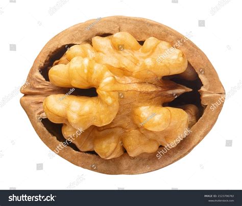 313,414 White walnuts Images, Stock Photos & Vectors | Shutterstock