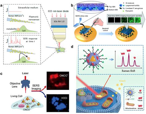 (a) SERS nanosensor to monitor cellular secretion. Reprinted with ...