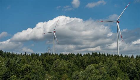 Keine Windkraft Im Wald Deutsche Wildtier Stiftung