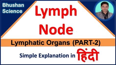 Lymph Node Lymphatic Organ Lymphatic System In Hindi Bhushan Science Youtube