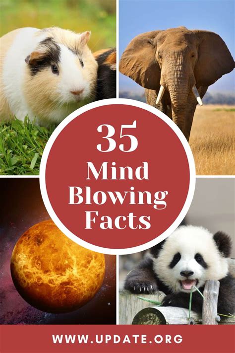 Unlock Mind-Blowing Facts That Will Boost Your Intelligence - Hunter Games Magazine