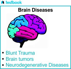 Understanding Brain Diseases: Types, Symptoms, and Treatments