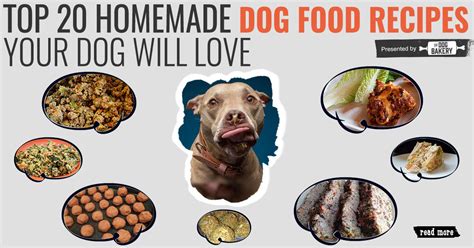 Homemade Dog Food Recipes for Small Dogs – The Dog Bakery