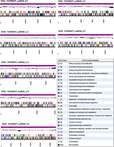 Graphical Map Of The Genome Of Ensifer Medicae Di Showing The Seven