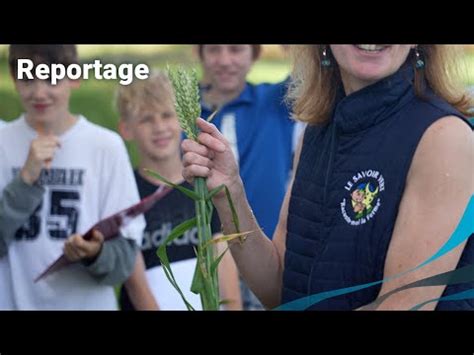 Des collégiens en immersion dans une ferme durable Nord Info