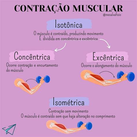 Exemplo De Contração Isométrica