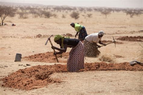 Une Visualisation Des Donn Es R V Le Limpact Du Changement Climatique