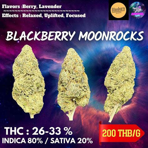 Blackberry Moonrocks THC 26 33 By Blimburn Seeds Sold Out