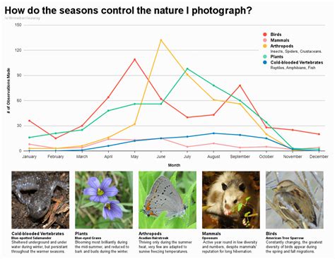 [OC] How do the seasons in Canada control what parts of nature I photograph? : r/dataisbeautiful