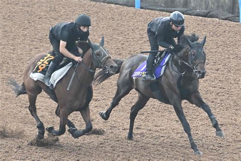 【菊花賞追い切り】皐月賞2着コスモキュランダは馬なりでラスト11・7秒 加藤士調教師「春の悔しさをバネに」（東スポ競馬）｜dメニューニュース