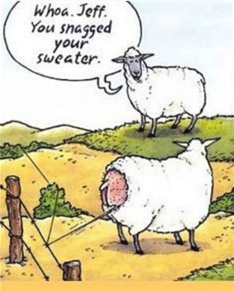 Pin By Diana Mulgrew On Sheep Funny Cartoons Jokes Cartoon Jokes