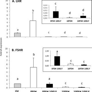 The Roles Of FSH And PI3K Inhibition In The Gene Expression Of The