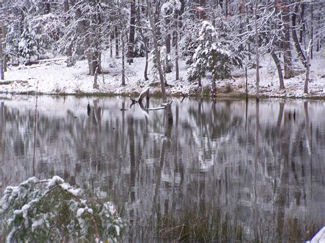 Reflection In The Snow Snow Pics Outdoor