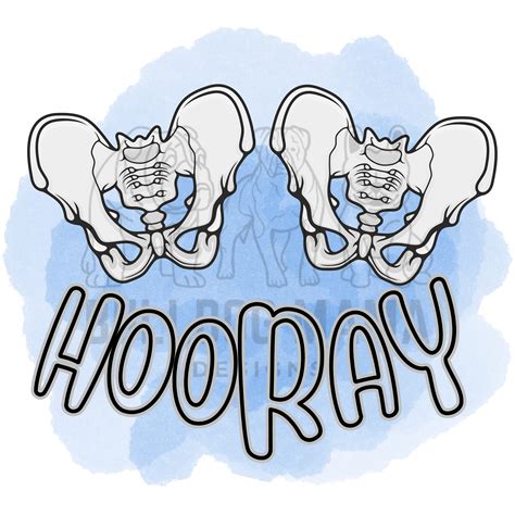 Hip Hip Hooray Orthopedic Surgeon Humor Bone Doctor Hip Replacement Md Medical Office