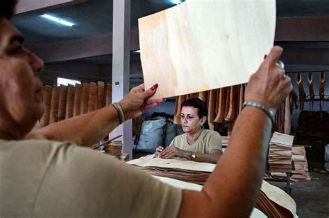 Medio De El Salvador Destaca Ingenio De Emprendedor Cubano Fotos Noticias Prensa Latina