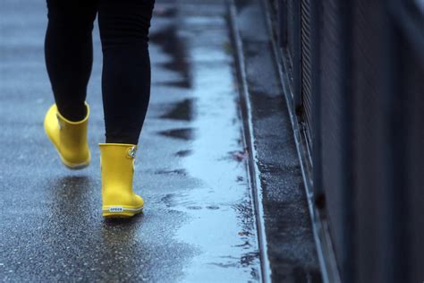 Western Washington May Get A More Damp Spring This Year, Forecasters