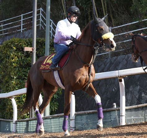 日曜メインレースの注目激走馬阪神11r桜花賞・g1 Umatoku 馬トク