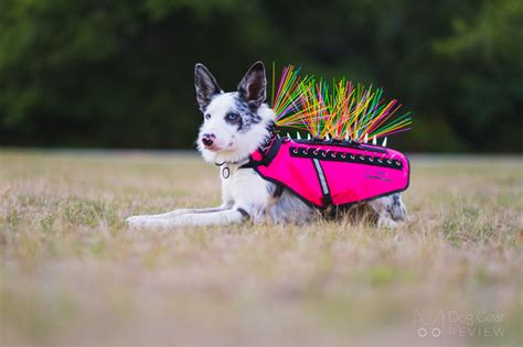 CoyoteVest vs SpikeVest