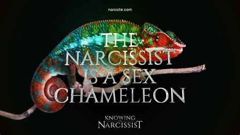 The Narcissist Is A Sex Chameleon Youtube