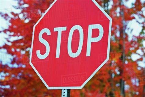 Oregon United States Of America A Stop Sign With Trees In The