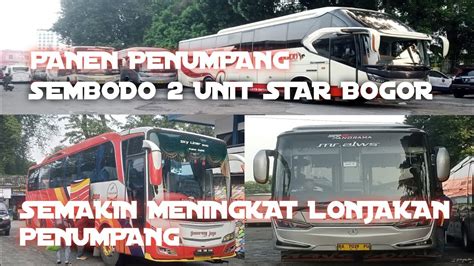 BUS SEMBODO PANEN PENUMPANG BERANGKAT 2 UNIT GUMARANG 2 UNIT STAR