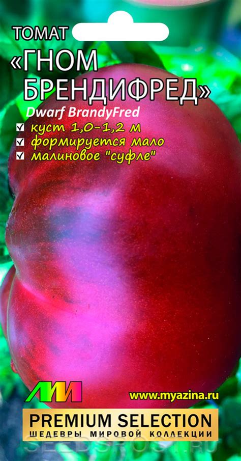 Томат Гном Бренди Фрэд (Dwarf Brandy Fred), 5 шт. Premium Selection ...