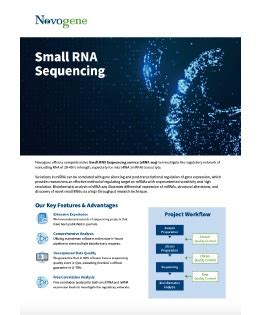 Small RNA Sequencing - Novogene