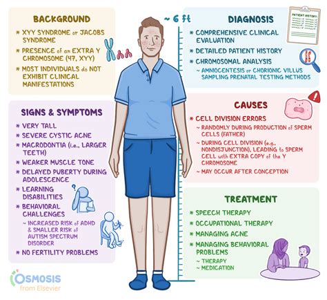 XYY Syndrome: What Is It, Causes, Diagnosis, and More | Osmosis