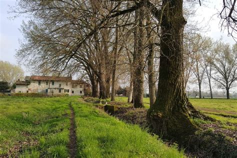 Parco Agricolo Ticinello Milanoguida Visite Guidate A Mostre E