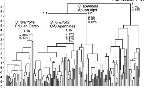 Dendrogram Resulting From The Upgma Cluster Analysis Of The Entire Set