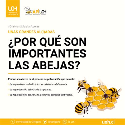 20 De Mayo Día Mundial De Las Abejas Apiuoh