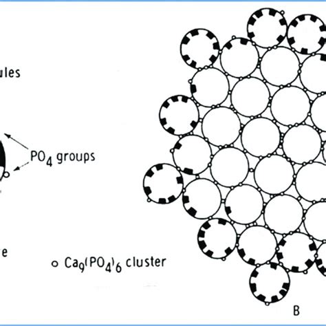 (PDF) Casein micelle: chemistry, structure and functionality