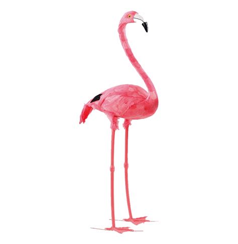 Flamingo Lawn Flamingo Transparent Background Clip Art Library