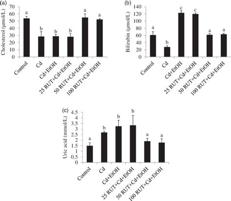 Effects Of Rutin Rut Ethanol Etoh And Cadmium Cd Co Exposure On