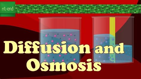 Diffusion And Osmosis Biology Celltransport Diffusion Osmosis Nt End6435 In 2024 Osmosis