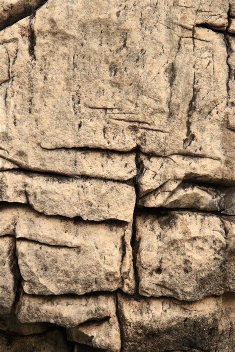 Geologic Fold In Rock Stock Photo Image Of Cliff Closeup