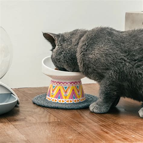 Нескользящая кошачья кормушка керамическая миска для кошки с ...