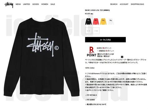 ステューシー Tシャツ 長袖 Stussy レディース Women Basic Logo Pigment Dyed ピグメント カットソー