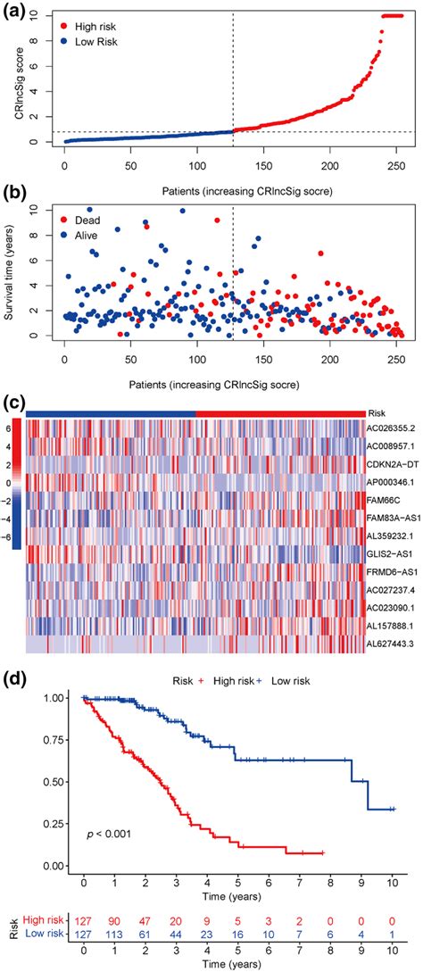 The Cuproptosis‐related Lncrna Signature Crlncsig Scores Correlation