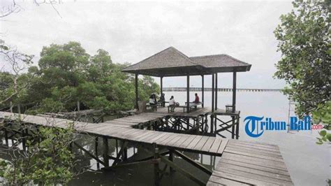 Menelusuri Objek Wisata Mangrove Denpasar Bali Ikon Kota Denpasar Yang