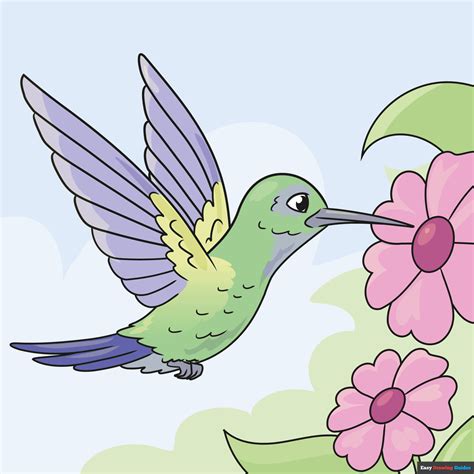 How to Draw a Hummingbird - Really Easy Drawing Tutorial