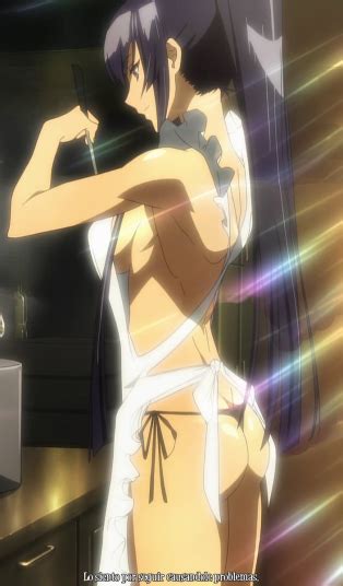 Character Spotlight Saeko Busujima Luscious Hentai Manga Porn