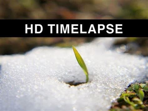 Time lapse of Snow melting [HD] - YouTube