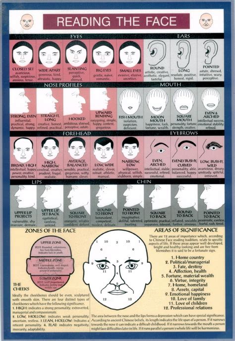 Chinese Face Reading Chart