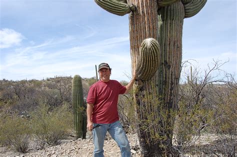 Booker Saguaro Cacti And The Casa Grande Ruins In Arizona