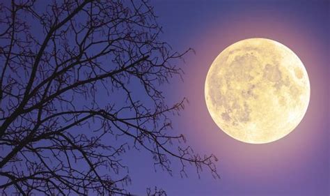 Supermoon tonight: Is it a Supermoon tonight? When was the last Super ...