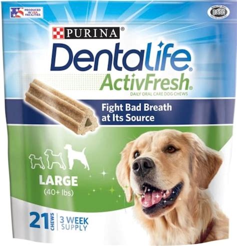 Are Dental Chews and Treats Good for Dogs? Experts Explain