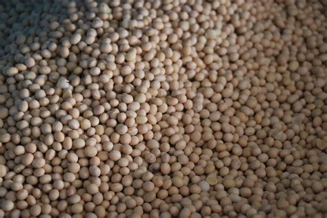 Everything You Need to Know About Soy Sauce, Part II