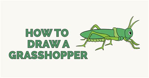 How To Draw A Grasshopper Step By Step